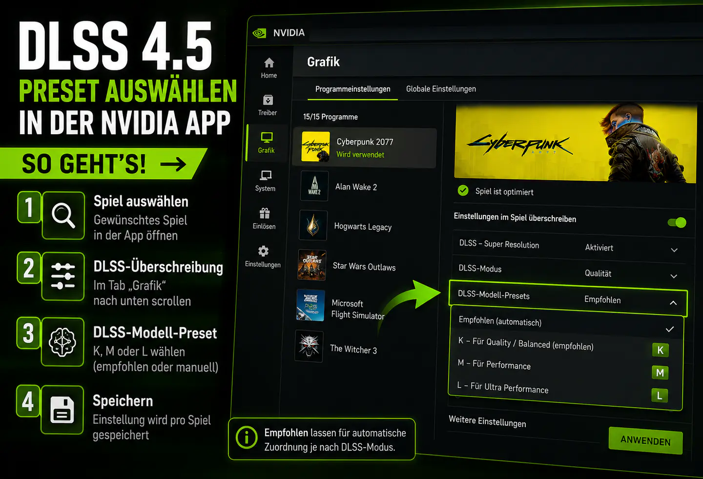 DLLS 4.5 Settings