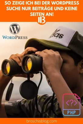 WordPress Suche Beiträge keine Seiten anzeigen