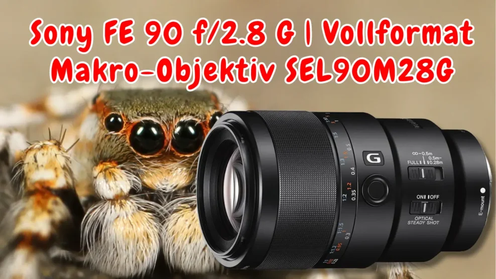 Sony FE 90 f/2.8 G | Vollformat Makro-Objektiv SEL90M28G